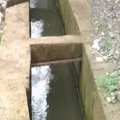 തീക്കുനിയിൽ അപകടകെണി ഒരുക്കി ഓവുചാൽ