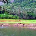 കരിയാത്തുംപാറ ടൂറിസം സെന്റര്‍ ഇന്നു മുതല്‍ സഞ്ചാരികള്‍ക്കായി തുറന്നുകൊടുത്തു 