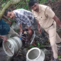 #EXCISE Raid|പെരിങ്ങോട് വന്‍വാറ്റു കേന്ദ്രം തകര്‍ത്തു; 460 ലിറ്റര്‍ വാഷ് പിടിച്ചെടുത്തു
