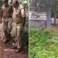 അത്തോളിയിലെ ജനവാസ മേഖലയിൽ കണ്ടത് കടുവയോ...? വിദ്യാർത്ഥി എടുത്ത ഫോട്ടോ പരിശോധിച്ച് വനപാലകർ