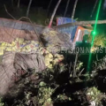 ലോറി താഴ്ചയിലേക്ക് മറിഞ്ഞ് അപകടം