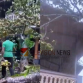 കനത്ത കാറ്റും മഴയും; കള്ളാട് വീടിനു മുകളിൽ മരം വീണ് മേൽക്കൂര തകർന്നു