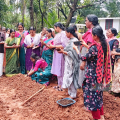 ചെണ്ടുമല്ലി കൃഷി ഇനി ഞങ്ങളുടെ കൈകളില്‍