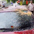 'ഇവിടെ വാഹനം പാർക്ക് ചെയ്യുന്നവർക്ക് വേണ്ടത് മുൻ കരുതൽ'; വാഹനത്തിന് മുകളിൽ മരം വീണ് അപകടം തുടർക്കഥ