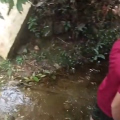 കനത്ത മഴ: ചാവശ്ശേരിയിൽ മണ്ണിടിച്ചിൽ