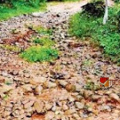 ദുരവസ്ഥയ്ക്ക് പരിഹാരമില്ലേ? കായക്കൊടി റോഡ് ഗതാഗത യോഗ്യമാക്കാത്തതിൽ നാട്ടുകാരുടെ പ്രതിഷേധം