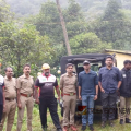 തൊട്ടിൽപ്പാലത്ത്‌  ഭീതി പരത്തി കുട്ടിയാന; പിടികൂടാൻ കഴിയാതെ വനംവകുപ്പ്, തിരച്ചിൽ വീണ്ടും പുനരാരംഭിച്ചു 