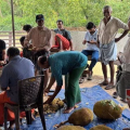 ചക്ക മാഹാത്മ്യത്തിൻ്റെ രുചിപ്പെരുമ പുതുതലമുറയെ അറിയിച്ച് വടക്കുമ്പാട് ഗ്രാമവാസികൾ