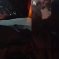 കാറിനുള്ളിൽ മദ്യക്കുപ്പി, പത്തനംതിട്ടയിൽ കാറും ബൈക്കും കൂട്ടിയിടിച്ച് അപകടം; ബൈക്ക് യാത്രികന് ദാരുണാന്ത്യം