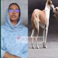 തെരുവുനായകളിൽ നിന്നും രക്ഷപ്പെട്ടോടിയ മകൾക്ക് വീണ് പരിക്ക് ; തെരുവുനായകളിൽ നിന്നും പ്രദേശത്തെ രക്ഷിക്കണമെന്നാവശ്യവുമായി കൂത്ത്പറമ്പിലെ യുവതി