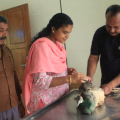 പാനൂരിൽ പരിക്കേറ്റ മയിലിന് രക്ഷകരായി ഓട്ടോ ഡ്രൈവർമാരും, മാർക്ക് പ്രവർത്തകൻ ബിജിലേഷ് കോടിയേരിയും