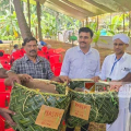 ശാസ്ത്രീയ മാലിന്യ സംസ്കരണ സന്ദേശവുമായി നബിദിനമാഘോഷിച്ച് കുന്നോത്ത്പറമ്പ് പഞ്ചായത്ത് പന്ത്രണ്ടാം വാർഡ് ; സ്വാഗത സംഘം കമ്മറ്റിക്ക് ഓലക്കൊട്ടകൾ കൈമാറി വാർഡ് മെമ്പറുടെ മാതൃക