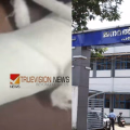 'കൈക്ക് സംഭവിച്ച ചതവ് ചികിത്സിക്കാതെ പ്ലാസ്റ്റർ ഇട്ടു'; പത്തനംതിട്ട ജനറൽ ആശുപത്രിക്കെതിരെ ചികിത്സാ പിഴവ് ആരോപണം