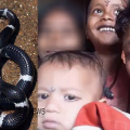 പിതാവിനൊപ്പം ടിവി കാണുകയായിരുന്ന കുട്ടികൾ പാമ്പ് കടിയേറ്റ് മരിച്ചു ; അച്ഛൻ ഗുരുതരാവസ്ഥയിൽ