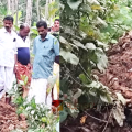 മാലിന്യം ഇടവഴിയിൽ ; വേളം പഞ്ചായത്തിലെ മാലിന്യ വിഷയം അധികാരികൾ നടപടി എടുക്കാൻ വൈകുന്നു -ബിജെപി