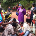 കൂത്തുപറമ്പിൽ പൊള്ളുന്ന വെയിലിൽ ഉരുകിയ ടാറിൽ കുരുങ്ങി മരണത്തോട് മല്ലടിച്ച മിണ്ടാപ്രാണിക്ക് 'മാർക്കി'ൻ്റെ കരുതലിൽ പുതുജീവൻ.