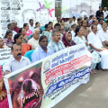 തെരുവ് നായ ശല്യത്തിനെതിരെ പ്രതിഷേധമിരമ്പി; റെസിഡന്റ്‌സ് അപ്പെക്സ് കൗൺസിൽ കലക്ടറേറ്റിനു മുന്നിൽ ശ്രദ്ധ ക്ഷണിക്കൽ സമരം നടത്തി