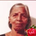 കണ്ണൂരിൽ ജോലിക്കിടെ പാമ്പുകടിയേറ്റ  തൊഴിലുറപ്പ് തൊഴിലാളി  മരിച്ചു