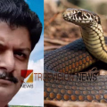 കോഴിക്കടയിൽ നിന്ന് പാമ്പ് കടിയേറ്റു, ചികിത്സയിലായിരുന്ന യുവാവ് മരിച്ചു