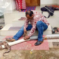 കോടിയേരി ഇല്ലത്ത് താഴയിൽ വീട്ടുമുറ്റത്തെ പൈപ്പിനുള്ളിൽ കുടുങ്ങി കൂറ്റൻ പെരുമ്പാമ്പ് ; രക്ഷകനായി മാർക്ക് പ്രവർത്തകൻ ബിജിലേഷ് കോടിയേരി