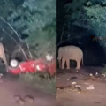 'ഈ കാർ അത്ര പോരാ' ;അതിരപ്പിള്ളിയിൽ കാട്ടാനക്കൂട്ടം നിർത്തിയിട്ട കാർ തകർത്തു