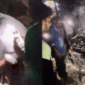 അതിരപ്പിള്ളിയിൽ കാർ ഡിവൈഡറിൽ ഇടിച്ച് കത്തി; മൂന്ന് കുട്ടികളുൾപ്പെടെ ഏഴുപേർക്ക് പരിക്ക് 
