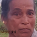 വടക്കഞ്ചേരിയിൽ വയോധികയെ കുളത്തിൽ മരിച്ച നിലയിൽ കണ്ടെത്തി