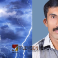 മരം വെട്ടുന്നതിനിടെ മിന്നലേറ്റ് താഴേക്ക് തെറിച്ച് വീണു, ചികിത്സയിലിരുന്ന തൊഴിലാളിയും മരിച്ചു