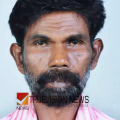 കടന്നൽ ആക്രമണം, ക്ഷീരകർഷകന് ദാരുണാന്ത്യം