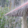 സംസ്ഥാനത്ത് അടുത്ത അഞ്ചുദിവസം ശക്തമായ മഴയ്ക്ക് സാധ്യത; 10 ജില്ലകളിൽ യെല്ലോ അല‍ർട്ട്