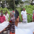 പാലക്കാട് ഒറ്റപ്പാലത്ത് വയോധികനെ റോഡിൽ മരിച്ച നിലയിൽ കണ്ടെത്തി