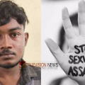 പ്രായപൂര്ത്തിയാകാത്ത പെണ്കുട്ടിക്ക് നേരെ ലൈംഗികാതിക്രമം നടത്തി, മാതാപിതാക്കളെ ഉപദ്രവിച്ചു; ആലപ്പുഴയിൽ 19-കാരൻ അറസ്റ്റിൽ