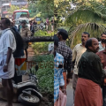 പാലക്കാട് ഓടിക്കൊണ്ടിരിക്കുന്ന സ്കൂട്ടറിന് മുകളിലേക്ക് തെങ്ങ് കടപുഴകി വീണു: യാത്രികന് ഗുരുതര പരിക്ക്