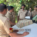 കാറിൽ രഹസ്യ അറ; കണ്ണൂർ പരിയാരത്ത് 80 ലക്ഷത്തിന്റെ കുഴൽപ്പണം പിടികൂടി