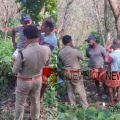 കണ്ണൂരിൽ റബ്ബര് തോട്ടത്തിൽ വയോധികന്റെ മൃതദേഹം കത്തിക്കരിഞ്ഞ നിലയിൽ; അന്വേഷണം
