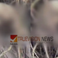 മാസങ്ങൾ പഴക്കം; കുറ്റിക്കാട്ടിൽ പുരുഷന്റെ അസ്ഥികൂടം കണ്ടെത്തിയ സംഭവം; അന്വേഷണം ആരംഭിച്ച് പോലീസ്
