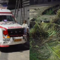 ശക്തമായ കാറ്റ്: തെങ്ങൊടിഞ്ഞ് ദേഹത്തേക്ക് വീണ് രണ്ട് വിദ്യാർത്ഥികൾക്ക് പരിക്ക്