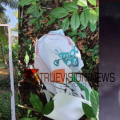 കണ്ണൂരിൽ യുഡിഎഫ് പ്രചാരണ ബോർഡുകൾ നശിപ്പിച്ചതായി പരാതി