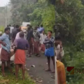 പാമ്പിനെ കണ്ട് വെട്ടിച്ചു, പത്തനംതിട്ടയിൽ സ്കൂൾ കുട്ടികളുമായി പോയ ഓട്ടോ തോട്ടിലേക്ക് മറിഞ്ഞ് അപകടം; ഒരു വിദ്യാർത്ഥിനി മരിച്ചു