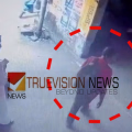ചുവപ്പും ഇട്ട് വന്നിരിക്കുവാ കാക്കാൻ....! തലശ്ശേരിയിൽ അരലക്ഷത്തിലധികം രൂപയുടെ ലോട്ടറി ടിക്കറ്റുകൾ മോഷണം പോയി, അന്വേഷണം 