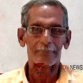 കണ്ണൂരിൽ കടന്നൽ കുത്തേറ്റ് ചികിത്സയിൽ കഴിഞ്ഞിരുന്ന വയോധികൻ മരിച്ചു