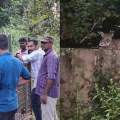 സർക്കാർ സ്കൂളിന് സമീപം പുലിയിറങ്ങി; മലമ്പുഴയിൽ കൂട് സ്ഥാപിച്ച് വനംവകുപ്പ്
