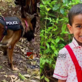 സുഹാൻ എവിടെ? അമ്മ സ്കൂളിൽ പോയ സമയത്ത് സഹോദരനുമായി പിണങ്ങി വീട്ടിൽ നിന്നും ഇറങ്ങി, ചിറ്റൂരിൽ രാത്രിയിലും തെരച്ചിൽ