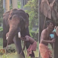 പിഞ്ചുകുഞ്ഞുമായി പാപ്പാന്മാരുടെ സാഹസം; സ്വമേധയാ കേസെടുത്ത് പൊലീസ്, ദേവസ്വം പാപ്പാൻ കസ്റ്റഡിയിൽ