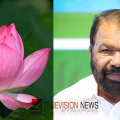 വിവാദങ്ങളിലേക്ക് പോകേണ്ട, സ്കൂള് കലോത്സവത്തിൽ ഇനി 'താമരയും'; വിവാദങ്ങള്ക്ക് പിന്നാലെ വേദി 15ന് താമരയെന്ന് പേരിട്ടു