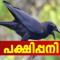 കണ്ണൂരിൽ ജാഗ്രതാ നിർദ്ദേശം; ജില്ലയിൽ പക്ഷിപ്പനി സ്ഥിരീകരിച്ചു, രോഗം കണ്ടെത്തിയത് കാക്കയിൽ