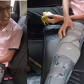 ട്യൂഷൻ കഴിഞ്ഞ് വീട്ടിലെത്തിയപ്പോൾ വിദ്യാർത്ഥി കാണുന്നത് മോഷണ ശ്രമം, ക്രിക്കറ്റ് ബാറ്റ് ഒടിയും വരെ മോഷ്ടാവിന്റെ മർദ്ദനം, രക്ഷകനായി വളർത്തുനായ