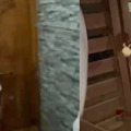 പാലക്കാട് സ്വകാര്യ സ്ഥാപനം ജപ്തി ചെയ്ത വീടിന്റെ പൂട്ടുപൊളിച്ച് വീട്ടുകാരെ അകത്ത് കയറ്റി ഡിവൈഎഫ്ഐ