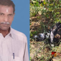 തൃശൂരിൽ പിക്കപ്പ് വാനും സ്കൂട്ടറും കൂട്ടിയിടിച്ച് വയോധികന് ദാരുണാന്ത്യം