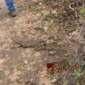 സ്കൂളിന് തൊട്ടരികെ സ്ഫോടനം; വിദ്യാർത്ഥികളുമായി പോയ ഓട്ടോറിക്ഷ കയറിയിറങ്ങി സ്ഫോടക വസ്തു പൊട്ടിത്തെറിച്ചു, വിദ്യാർത്ഥികൾക്ക് അത്ഭുതരക്ഷ
